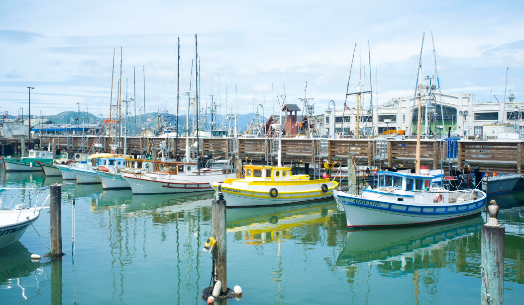 The Truth About Ceramic Coating for Boats