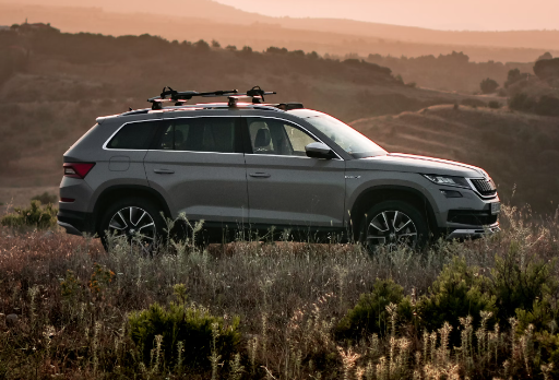 How to wax a Skoda Kodiaq?