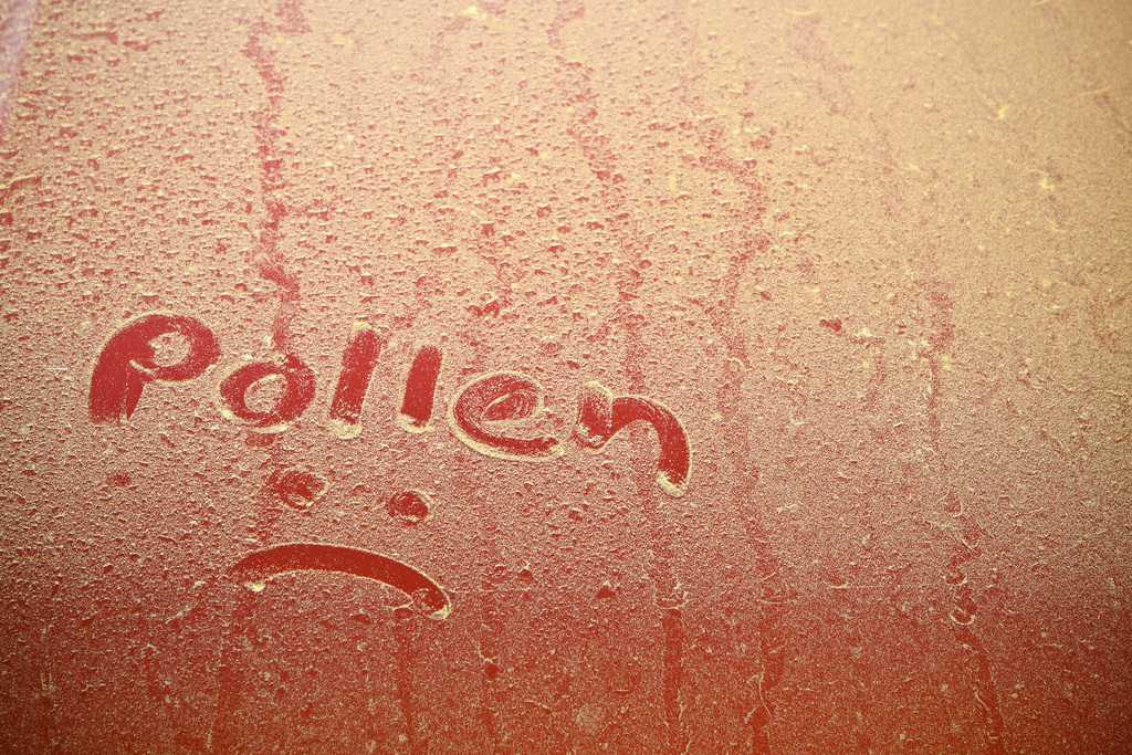 Sniff at Your Own Risk: Allergies and the Hidden Dangers of Driving