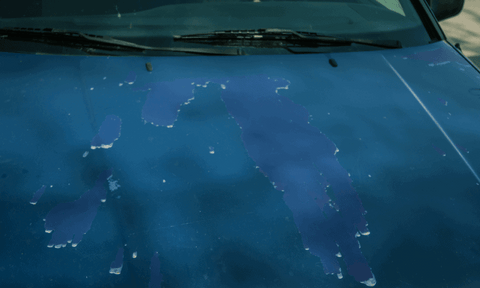 A Beginners Guide to Fixing Clear Coat Damage – What Causes Oxidation on Paint?