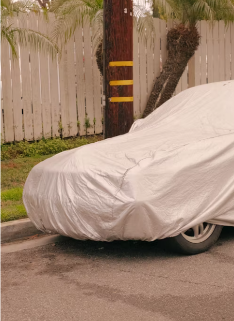 Protecting Your Car's Paint in Fall from Leaf Stains