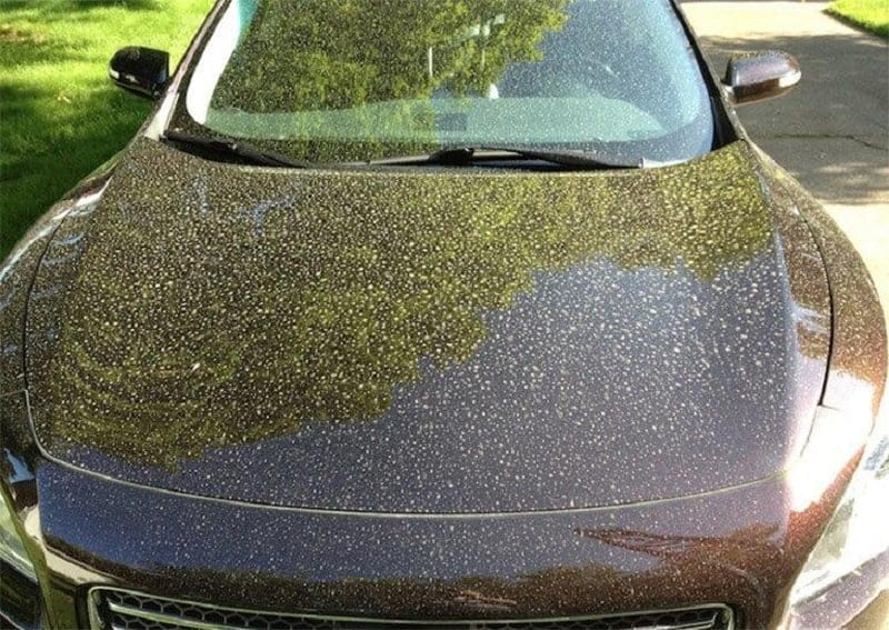 https://avalonking.com/cdn/shop/articles/Pollen-on-a-car.jpg?v=1651076437