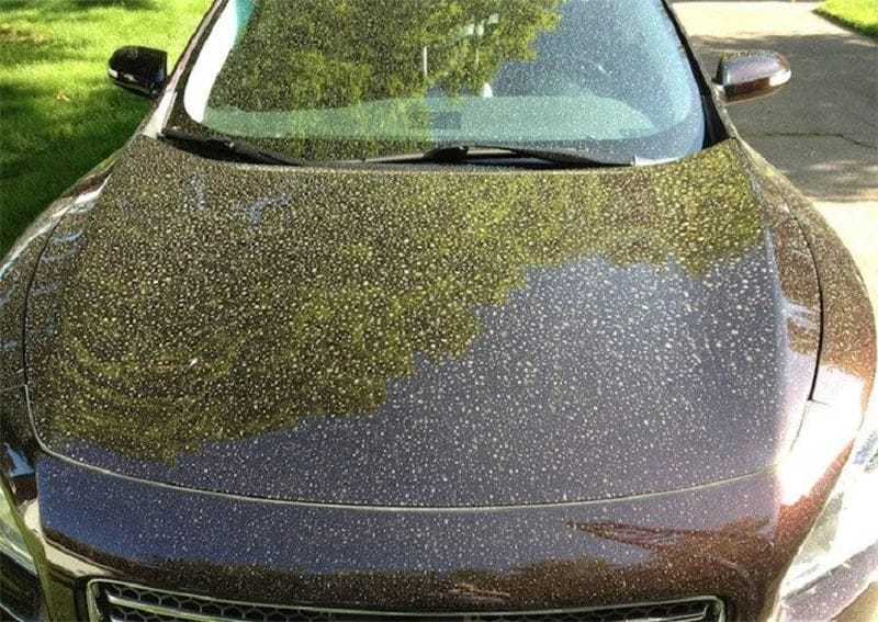 Why is Pollen So Sticky on Car Paint?