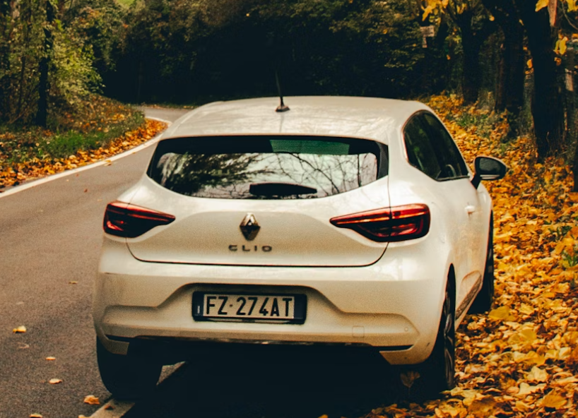 How to wash a Renault Clio?