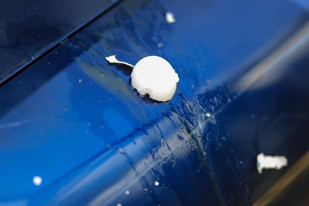 How to Remove Egg Stains from Your Car's Paint Job