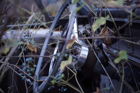 The Great Fruit Fight: How to Remove Berry Stains From Car Paint
