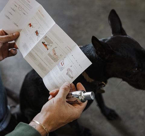 Armor Shield IX - LegitStreetCars VIP Deal