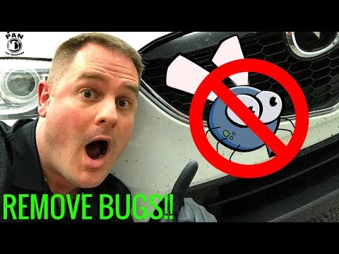 HOW TO REMOVE BUGS FROM A CAR: SUPER EASY !!!