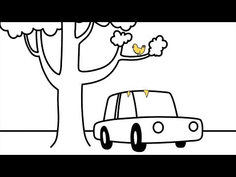 Ford Versus Bird Poop
