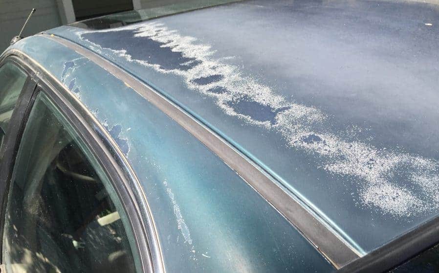 Yet another vehicle with high levels of  oxidation and peeling clear coat. Tell-tale signs that a little transparent TLC and elbow grease need to be in order.