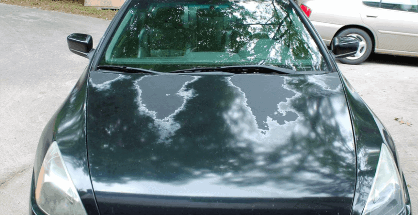 UV rays from the sun cause heat to build up on the surface which leads to the paint to fade