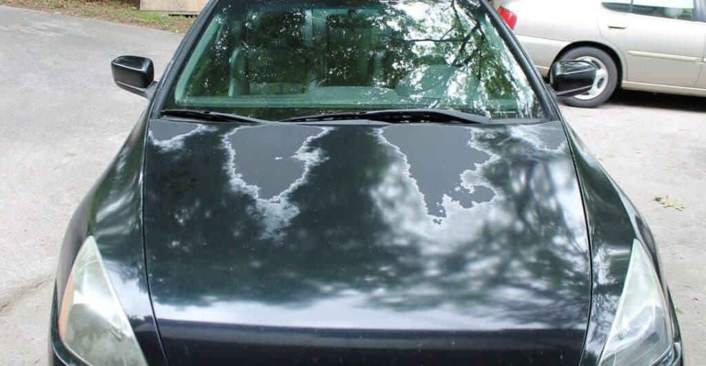 Friends don't let friends drive vehicles with extreme levels of peeling clear coat. 