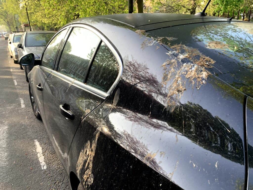 mens det at blive ramt af fuglebæs kan være et tegn på held og lykke i mange lande, kan fuglebæs, der lander på din bil, have mere alvorlige konsekvenser – for dit lakering. Foto: Ford Motor Co.