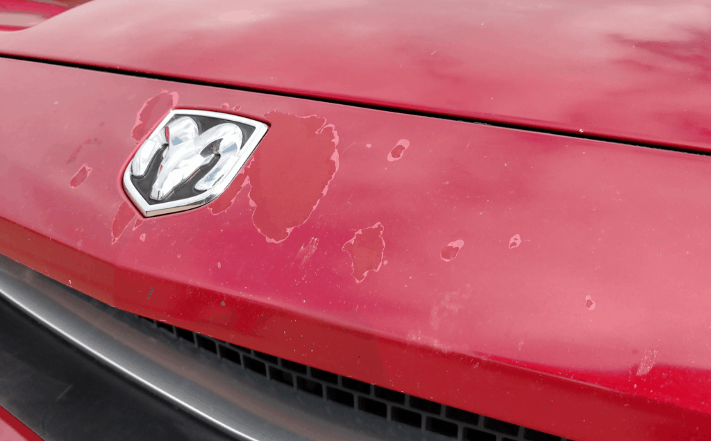 Causes and Fixing Peeling Clear Coats