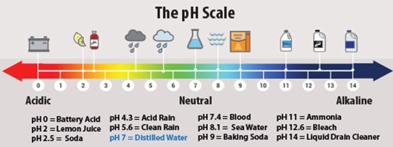 pH-nivån på fågelskit varierar från 3,5 till 4,5 vilket kan bränna färg och klar beläggning på ett fordon