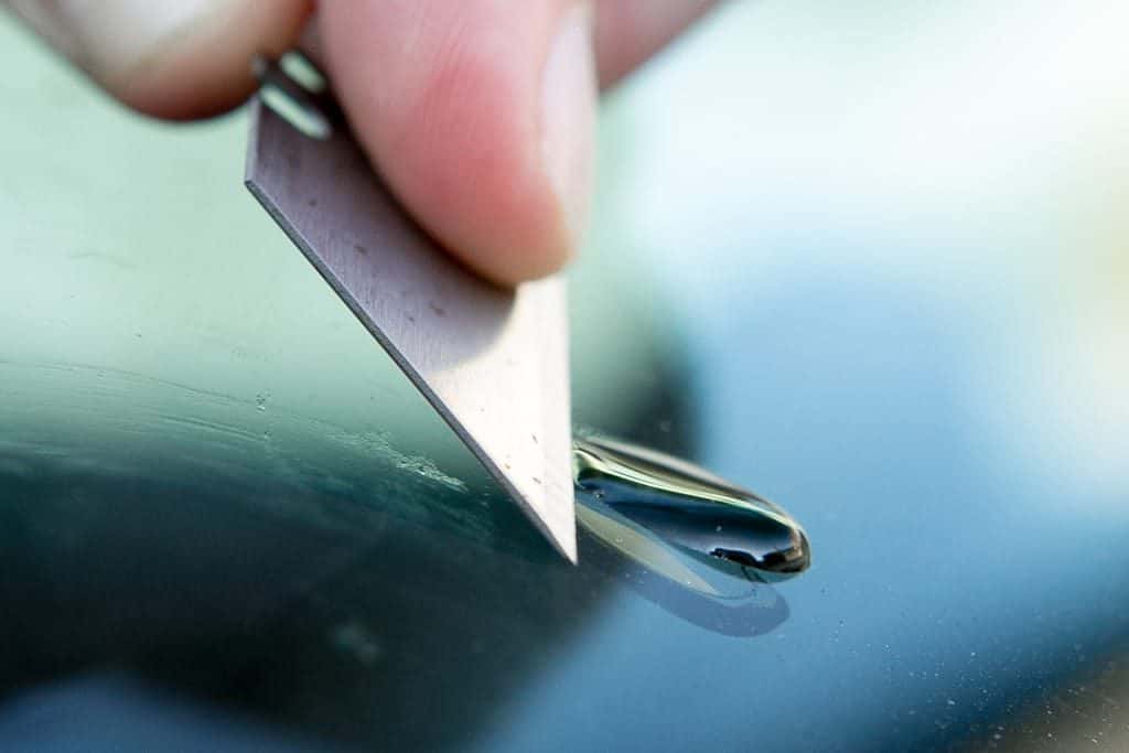 How to protect windshields or windows from tree sap